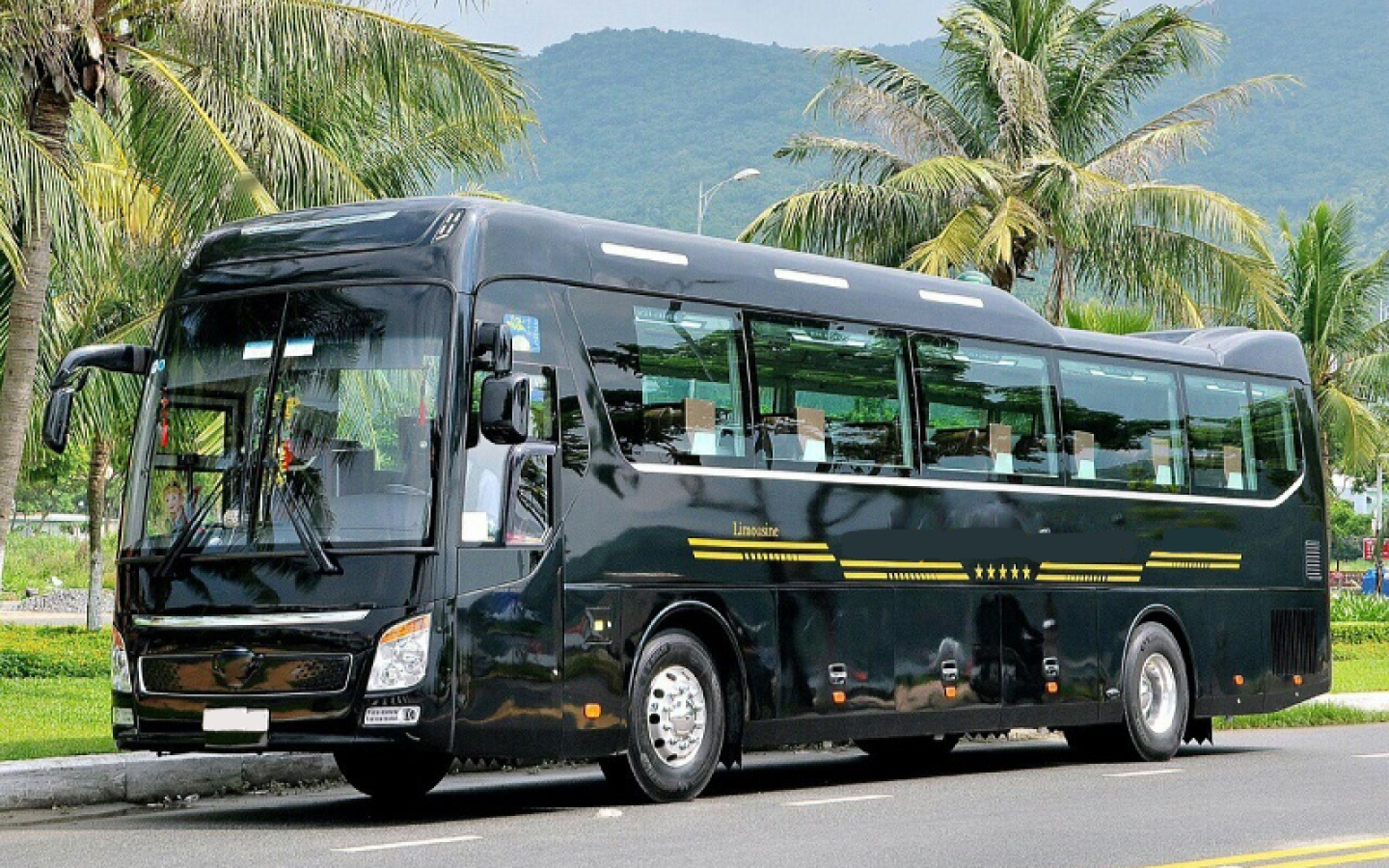 Thuê xe limousine - Dịch vụ Mai Linh Car Rental